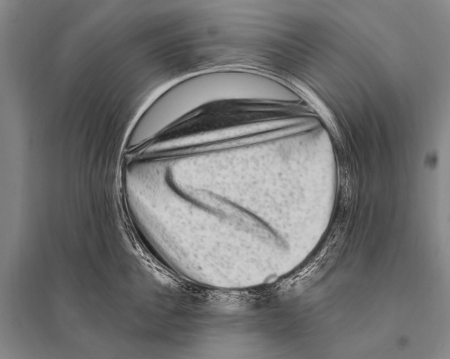 X0000094820956200712141642