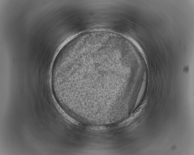 X0000094820957200712141642