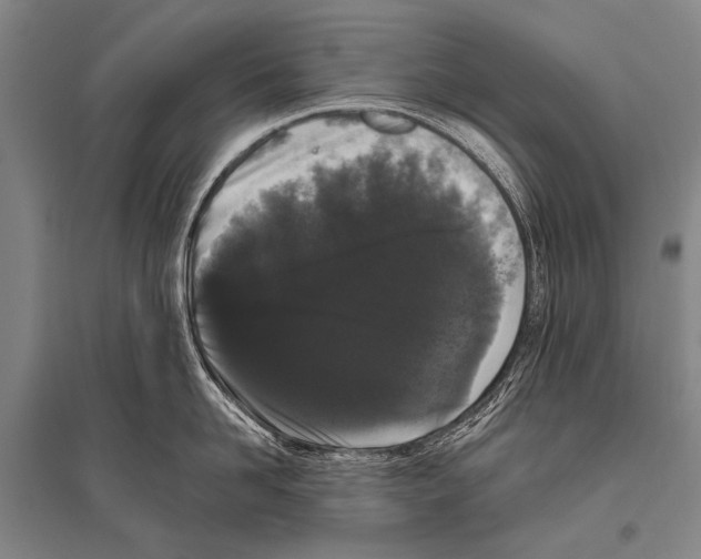 X0000094820958200712141642