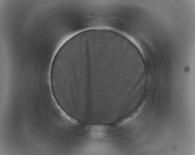 X0000094820959200712141642