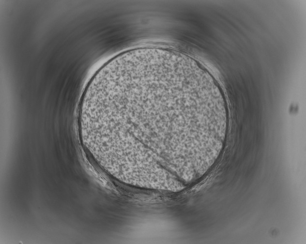 X0000094820960200712141642