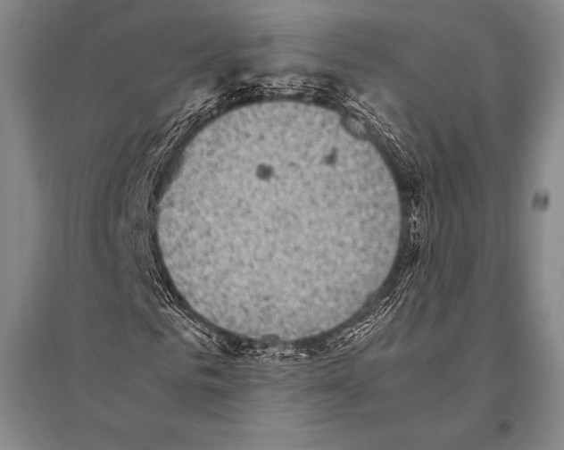 X0000094820961200712141641