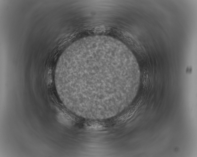 X0000094820962200712141641