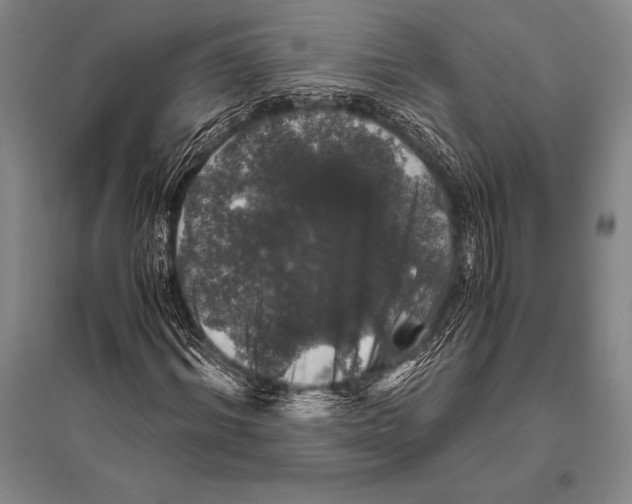 X0000094820964200712141641