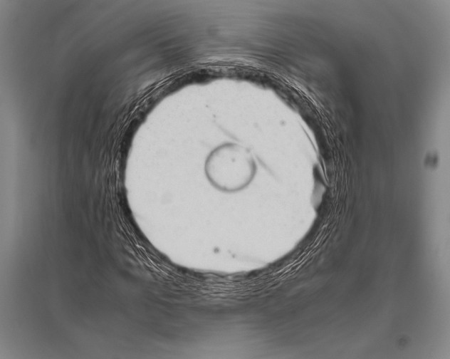 X0000094820965200712141641