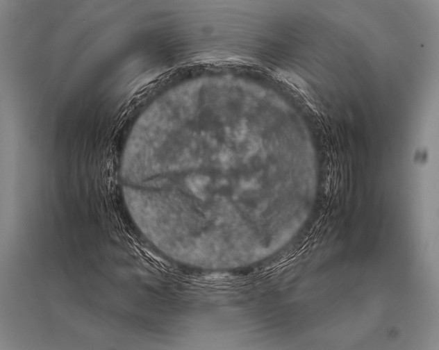 X0000094820966200712141641