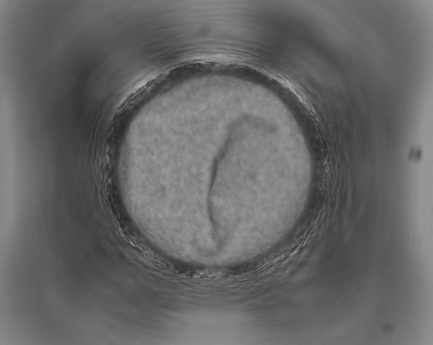 X0000094820967200712141641