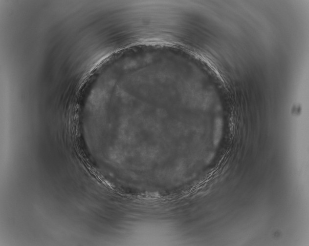 X0000094820968200712141641