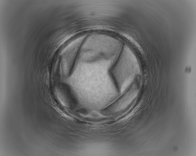 X0000094820969200712141641