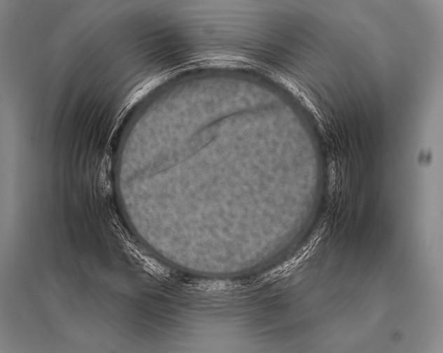 X0000094820970200712141641