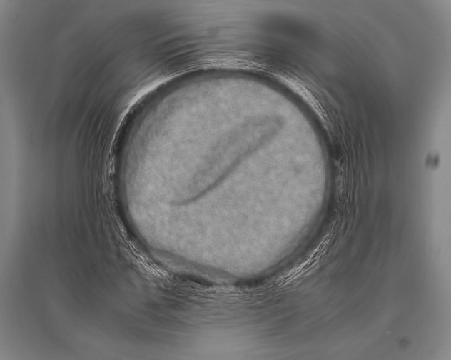 X0000094820971200712141641