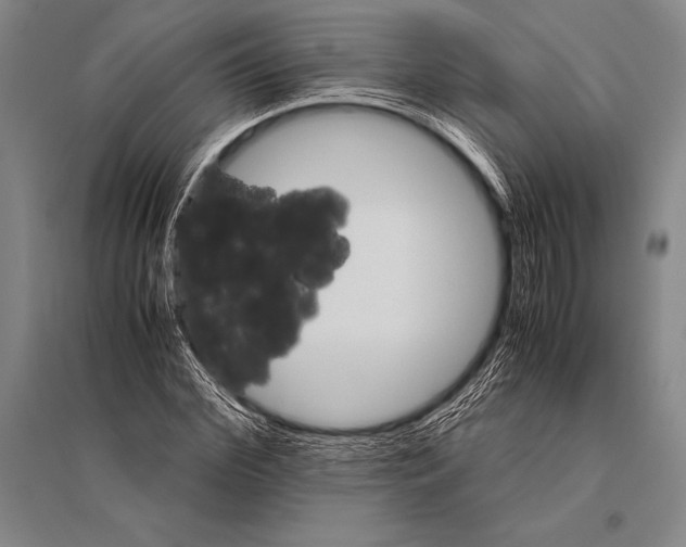 X0000094820972200712141641