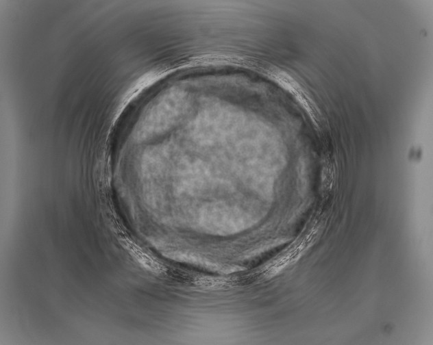 X0000094820973200712141641