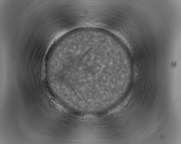 X0000094820974200712141641