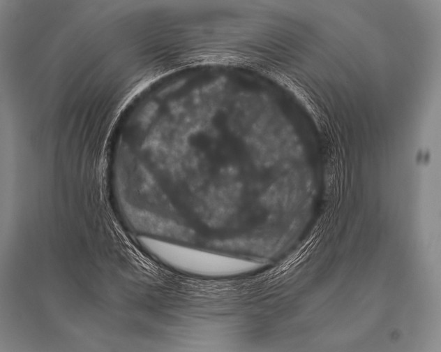 X0000094820975200712141641