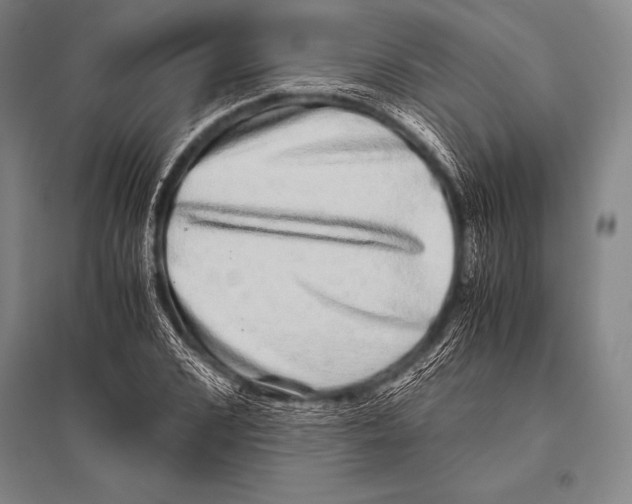 X0000094820976200712141641