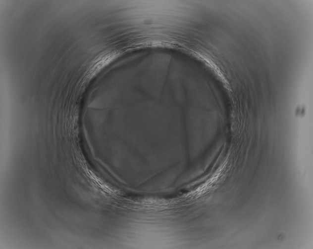 X0000094820977200712141641