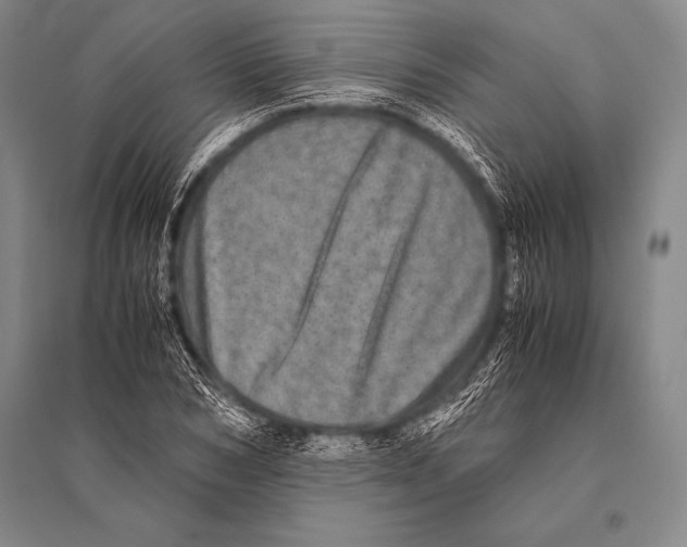 X0000094820978200712141641