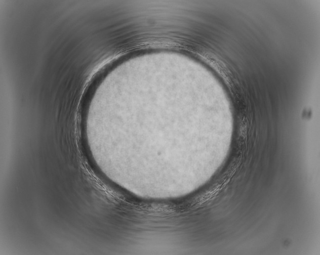 X0000094820979200712141641