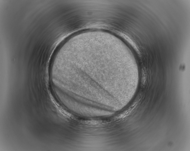 X0000094820980200712141641