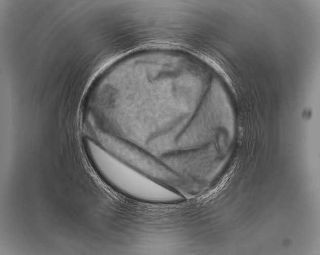 X0000094820981200712141641