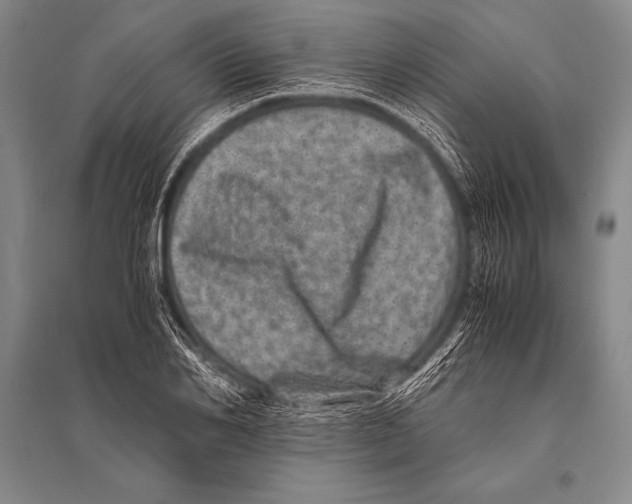 X0000094820982200712141641