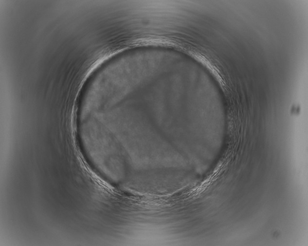 X0000094820983200712141641