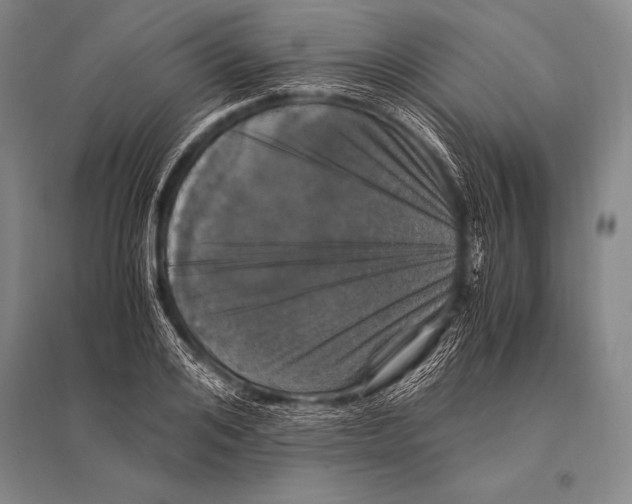 X0000094820984200712141641