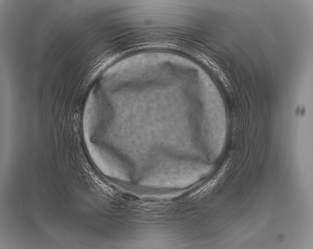 X0000094820985200712141641