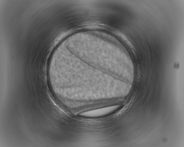 X0000094820986200712141641