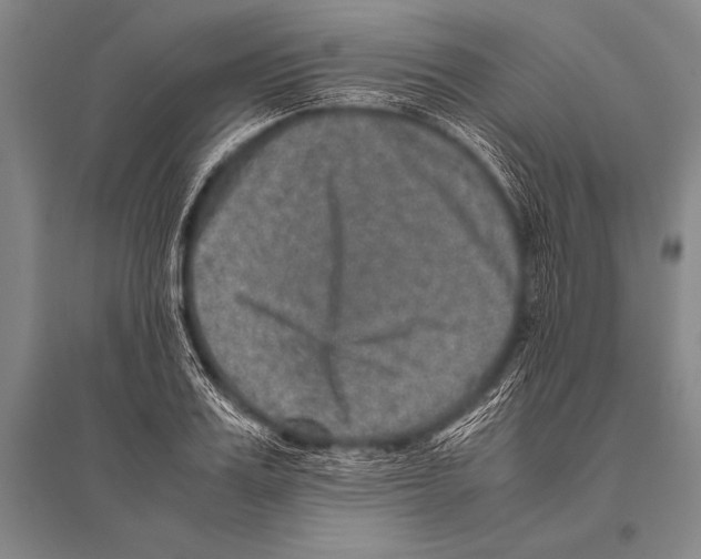 X0000094820987200712141641