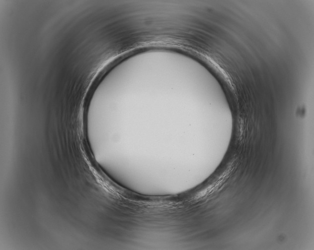 X0000094820988200712141641