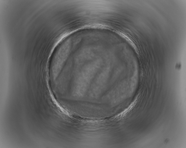 X0000094820989200712141641