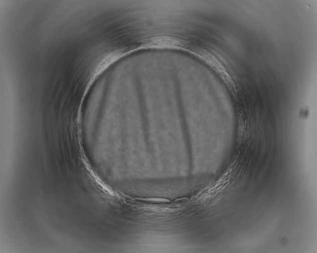 X0000094820990200712141641