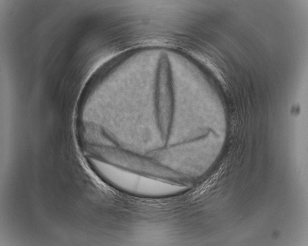 X0000094820991200712141641