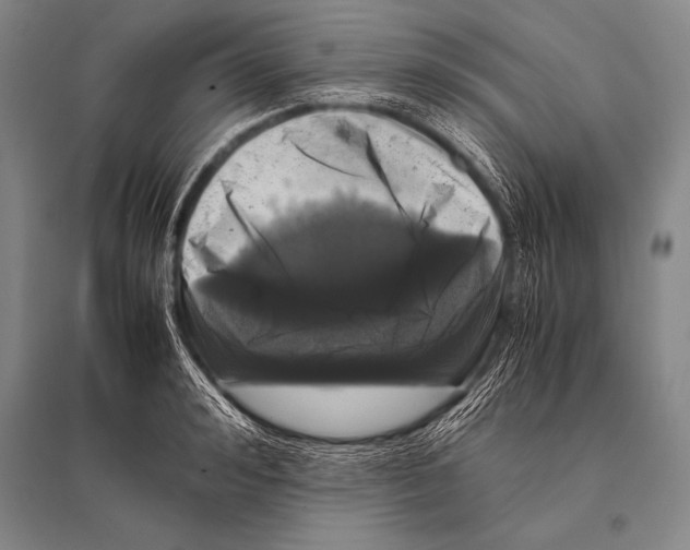 X0000094820992200712141641