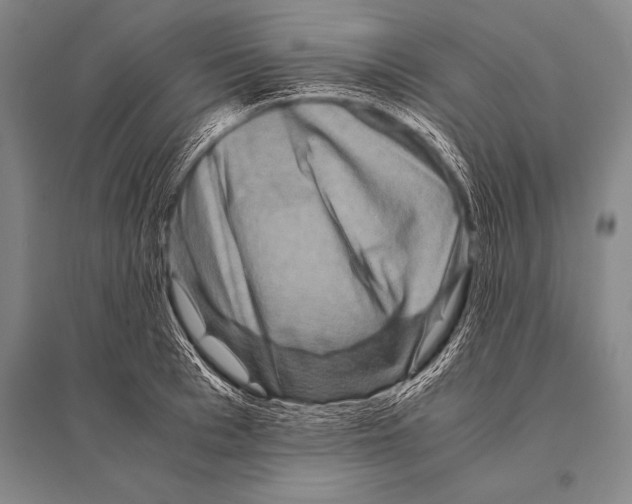 X0000094820993200712141641