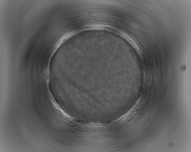 X0000094820994200712141641