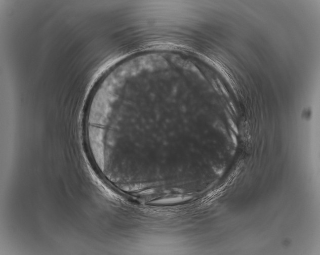 X0000094820995200712141641