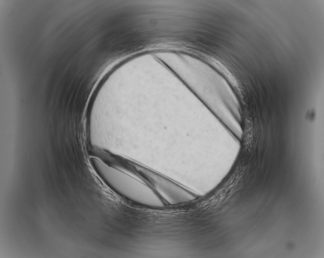 X0000094820996200712141641