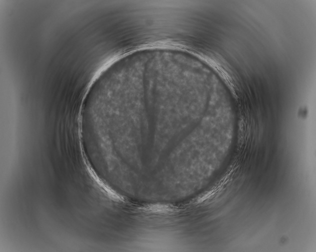 X0000094820998200712141641