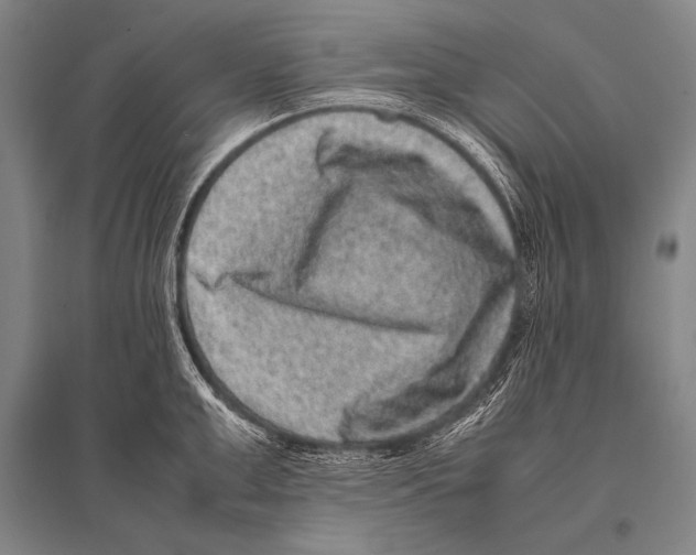 X0000094820999200712141641