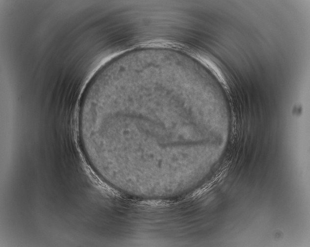 X0000094821000200712141641