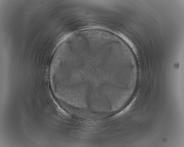 X0000094821001200712141641