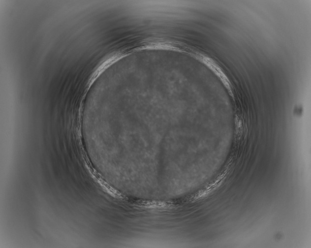 X0000094821002200712141641