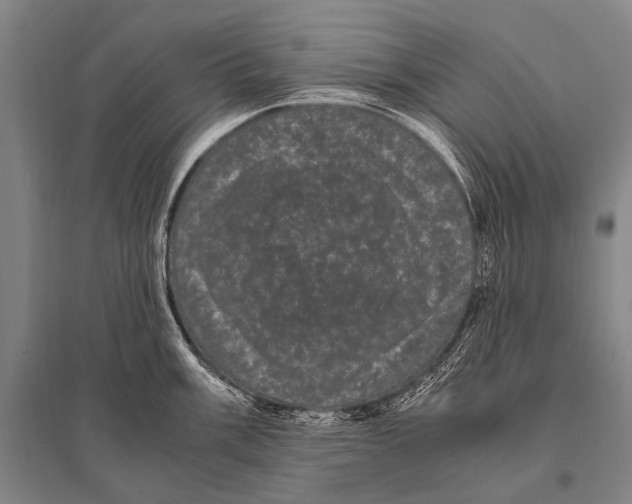 X0000094821003200712141641