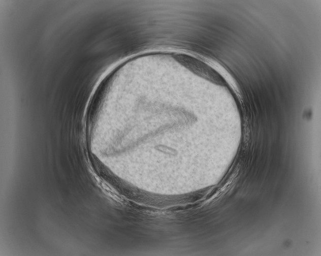 X0000094821004200712141641