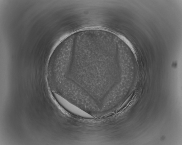 X0000094821005200712141640