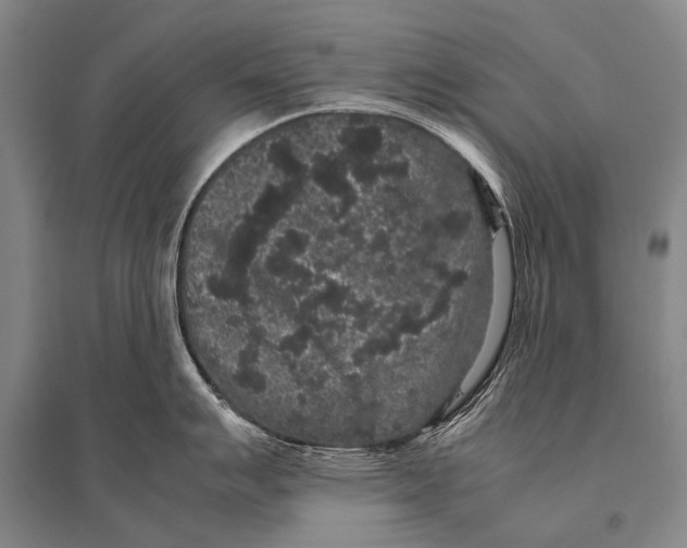 X0000094821007200712141640