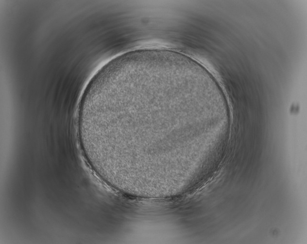 X0000094821008200712141640